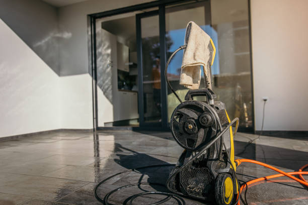 Animal Enclosure Cleaning in Essexville, MI